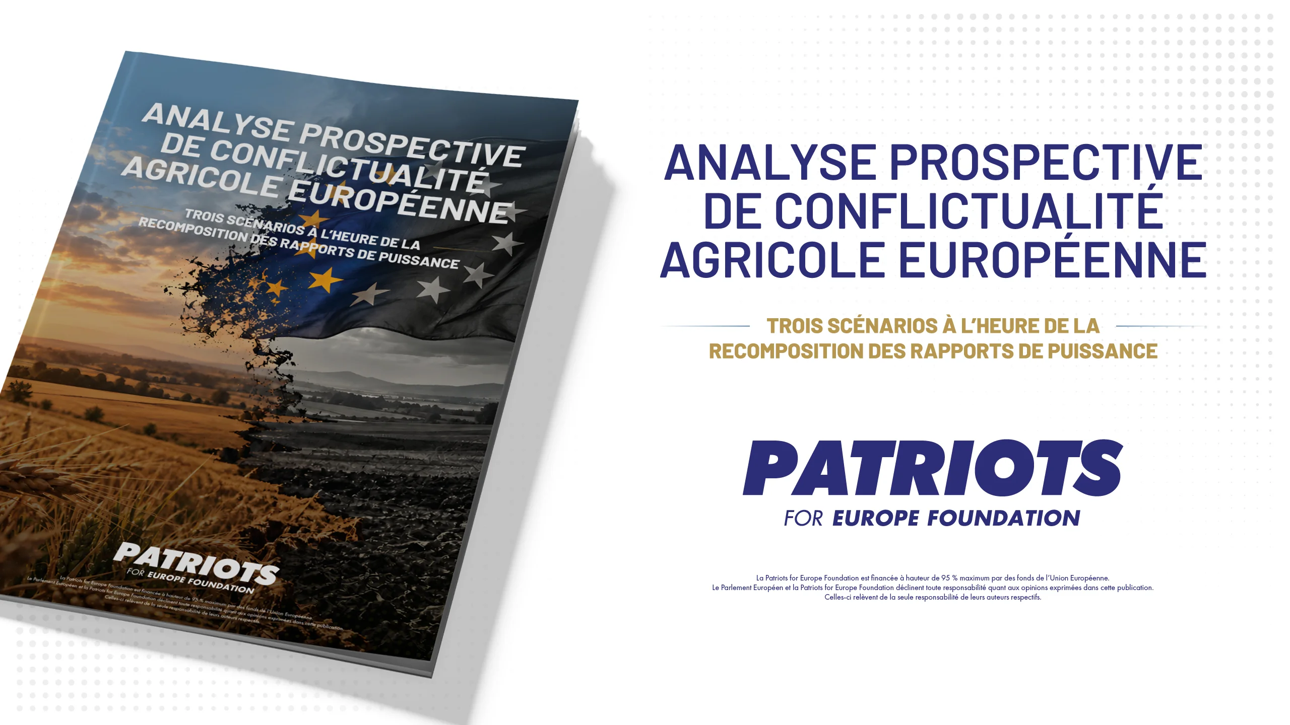 A FORESIGHT ANALYSIS OF CONFLICT IN EUROPEAN AGRICULTURE