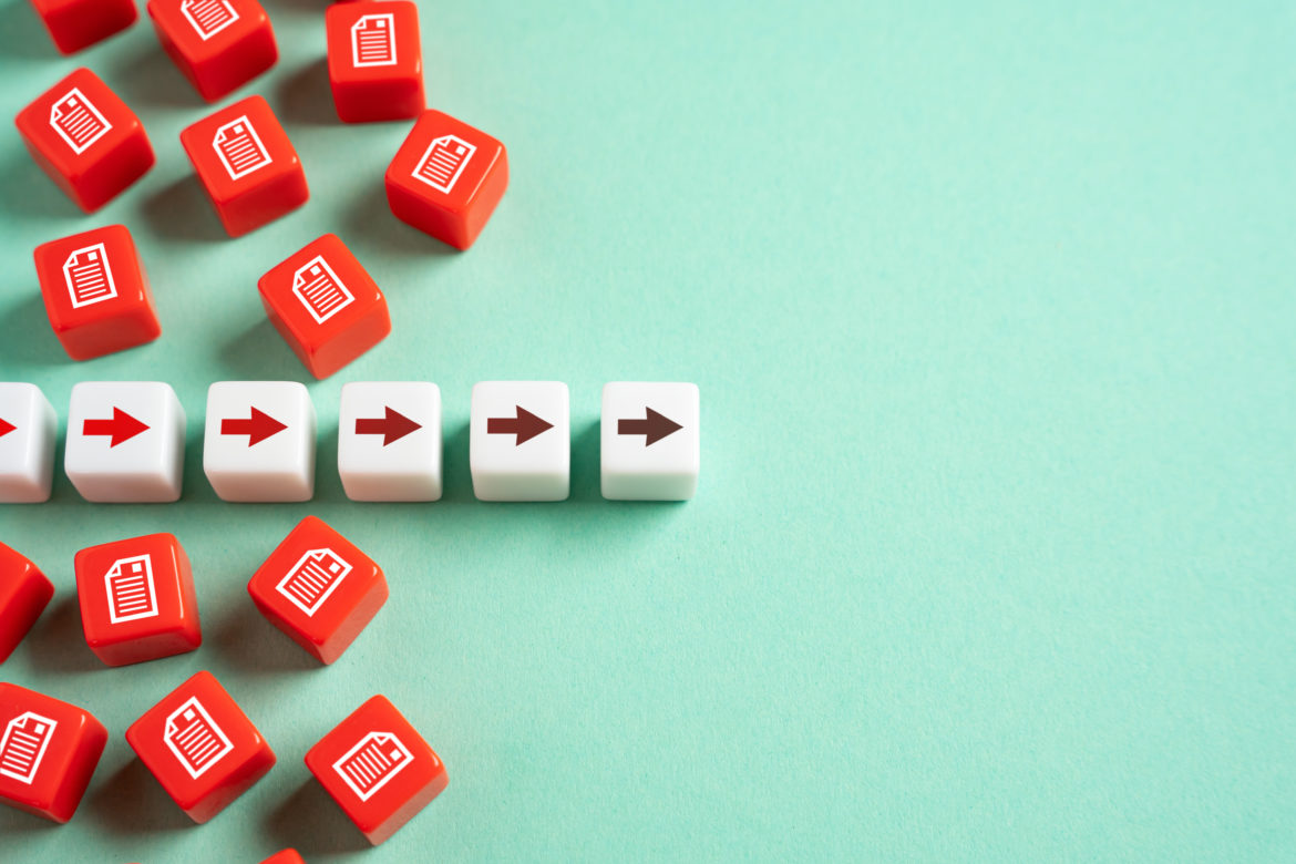 Liberation from bureaucratic hell Simplification of document flow and reporting Digitalization,Reduction of corruption risks and artificial barriers