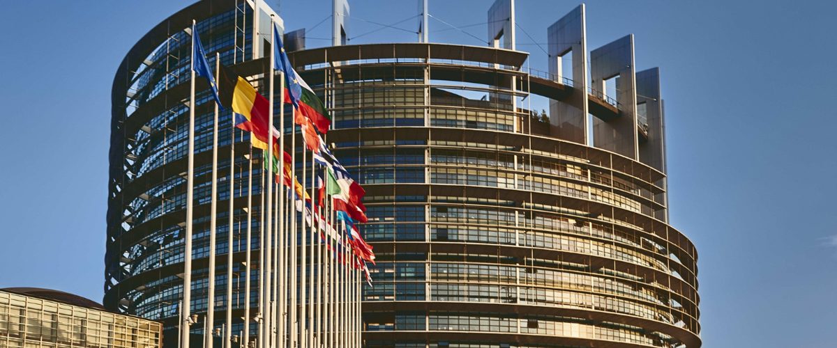 Notre fondation : Spécificité